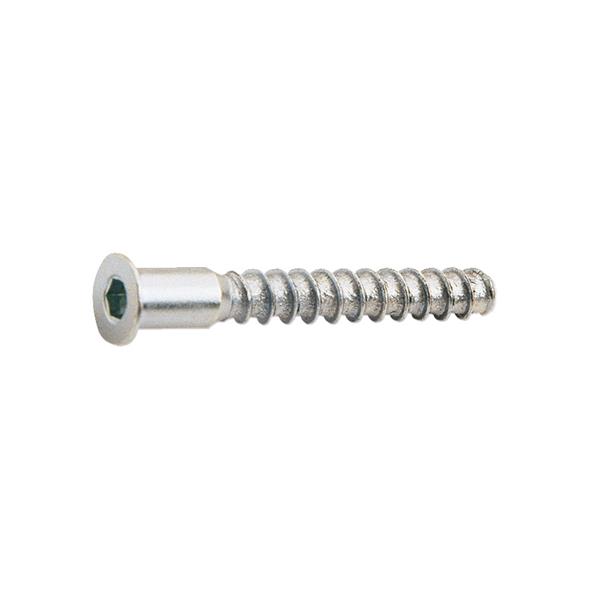 TORNILLO ENSAMBLAR 5X50 mm ZINC -6 UND-