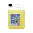 ANTICONGELANTE CC 30%  PROFESIONAL 5 LT